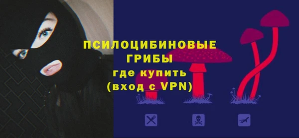 прущие крисы Балахна