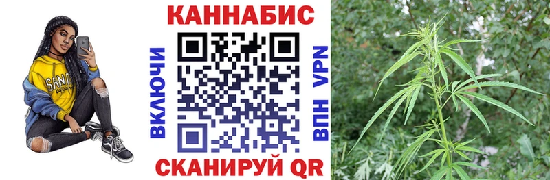 mega зеркало Слюдянка Шишки марихуана White Widow купить наркотики сайты